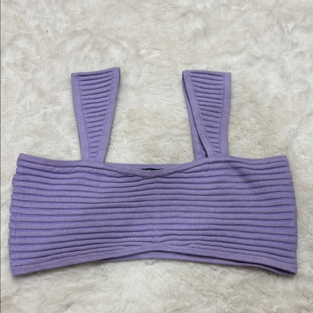 Wild Fable Purple Ribbed Crop Tank Top